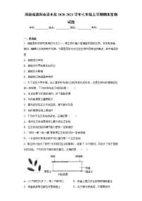 河南省濮阳市清丰县2020-2021学年七年级上学期期末生物试题（word版 含答案）