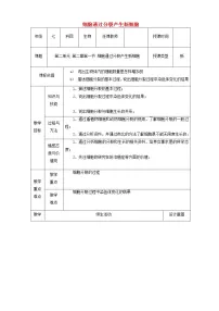 初中生物人教版 (新课标)七年级上册第一节 细胞通过分裂产生新细胞教案及反思