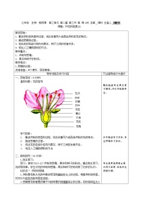 初中生物第三节 开花和结果教案设计