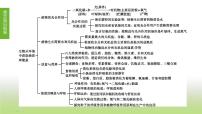 苏科版中考生物复习第三单元生物从环境中获取物质和能量第03课时绿色植物是有机物的生产者课件