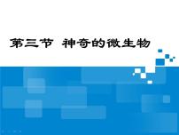 初中生物苏教版八年级上册第三节 神奇的微生物课文内容课件ppt