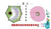 初中生物人教版 (新课标)七年级上册第四节  细胞的生活课文内容课件ppt