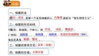 初中生物人教版 (新课标)八年级上册第三节 真菌课前预习ppt课件