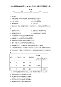 山东省青岛市市南区2020-2021学年七年级上学期期中生物试题(word版含答案)