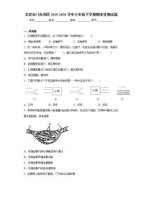 北京市门头沟区2019-2020学年七年级下学期期末生物试题(word版含答案)