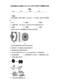 江苏省淮安市金湖县2020-2021学年七年级下学期期中生物试题(word版含答案)