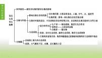 苏科版中考生物复习第二单元我们生活的生物圈第02课时生物与环境生态系统和生物圈生物之间的食物关系课件