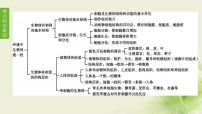 徐州专版中考生物复习第四单元环境中生物的统一性第06课时生物体有相同的基本结构和相似的结构层次课件