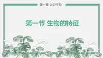 初中生物人教版 (新课标)七年级上册第一节 生物的特征教学ppt课件