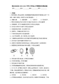 重庆市忠县2020-2021学年八年级上学期期末生物试题(word版含答案)