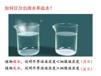 冀教版八年级上册第二节  根对水分的吸收背景图课件ppt