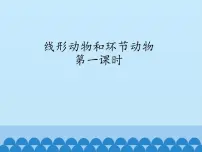 初中生物冀教版七年级上册第三节 线形动物和环节动物课堂教学课件ppt