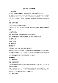 初中生物人教版 (新课标)七年级上册第二节 种子植物教案及反思