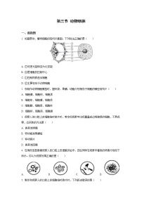 初中生物第三节 动物细胞课后测评