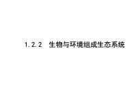 人教版 (新课标)七年级上册第二节 生物与环境组成生态系统授课ppt课件