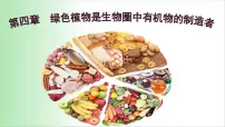 人教版 (新课标)七年级上册第三单元 生物圈中的绿色植物第四章 绿色植物是生物圈中有机物的制造者教学演示ppt课件