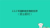 苏科版七年级上册第2节 环境影响生物的生存课文内容课件ppt