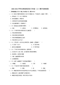 江西省南昌市2020-2021学年上学期八年级期中生物试卷（word版含答案）