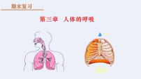 人教版 (新课标)七年级下册第三章 人体的呼吸综合与测试复习课件ppt