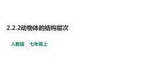 初中生物人教版 (新课标)七年级上册第二节 动物体的结构层次教学课件ppt