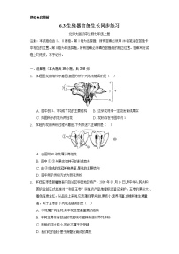 北师大版七年级上册第三单元  生物圈中的绿色植物第6章  绿色开花植物的生活史第3节  生殖器官的生长精品练习