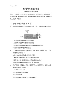 北师大版七年级上册第3节 吸收作用当堂检测题