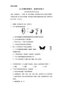 北师大版七年级上册第二单元 生物体的结构第4章 生物体的结构层次第2节 生物体的器官、系统精品精练