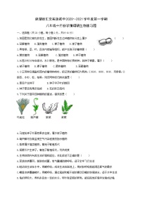 江苏省建湖县汇文实验初中教育集团2020-2021学年八年级十月学情调研生物试题