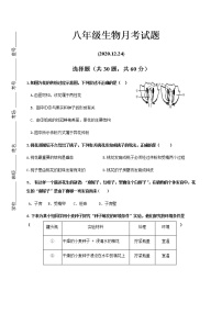 山东省济南济微教育集团2020-2021学年八年级12月质量测试生物试题