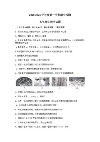 山东省济宁市兖州区2020-2021学年上学期七年级期中考试生物试卷