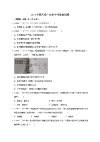 2019年四川省广安市中考生物试题（WORD版，含解析）