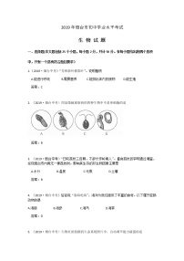 2019年山东省烟台市中考生物试题 (word版，含答案）