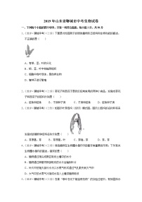 2019年山东省聊城市中考生物试题（Word版，含解析）