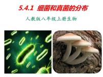 初中生物人教版 (新课标)八年级上册第一节   细菌和真菌的分布课前预习ppt课件