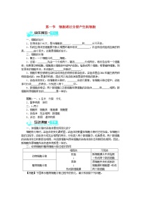初中生物人教版 (新课标)七年级上册第一节 细胞通过分裂产生新细胞课后练习题