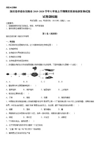 2019-2020学年七年级上学期湖北省孝感市安陆市期末质量检测生物试题（原卷+解析卷）