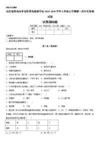 2019--2020年七年级上学期山东省青岛市李沧区青岛爱迪学校第一次月考生物试题（原卷+解析卷）