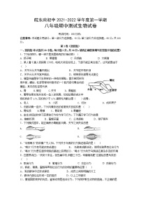 安徽省皖东南初中2021-2022学年八年级上学期期中考试生物试题（word版 含答案）