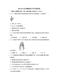 2019年山东省聊城市中考生物试卷+答案