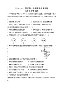 河北省秦皇岛市青龙县2020-2021学年七年级上学期期中考试生物试题（word版 含答案）