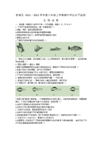 湖北省孝感市孝南区2021-2022学年八年级上学期期中学业水平监测生物试题（word版 含答案）