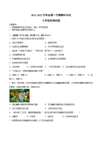 安徽省滁州市定远县2021-2022学年七年级上学期期中考试生物试题（word版 含答案）