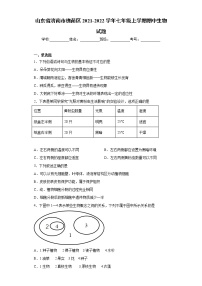 山东省济南市槐荫区2021-2022学年七年级上学期期中生物试题（word版 含答案）