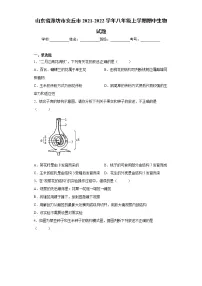 山东省潍坊市安丘市2021-2022学年八年级上学期期中生物试题(word版 含答案)