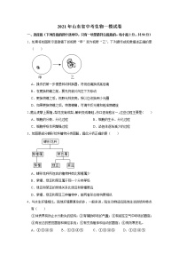 2021年山东省济宁市中考生物一模试卷（解析版）