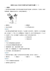 2021年湖南省岳阳市初中毕业学业联考（一模）生物试题