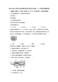 山东省泰安市东平县2021-2022学年上学期八年级期中生物【试卷+答案】