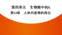 2021年中考广东专用生物一轮知识点复习第4单元 第14章　人体内废物的排出　  课件