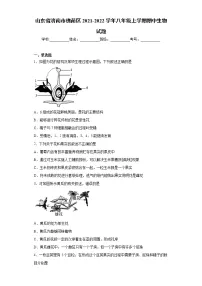 山东省济南市槐荫区2021-2022学年八年级上学期期中生物试题（word版 含答案）