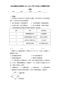 山东省临沂市蒙阴县2021-2022学年七年级上学期期中生物试题（word版 含答案）